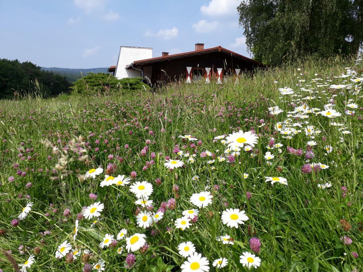 Ellernhof Im Spessart Villa Stadtprozelten Eksteriør billede