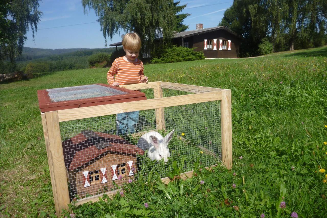 Ellernhof Im Spessart Villa Stadtprozelten Værelse billede